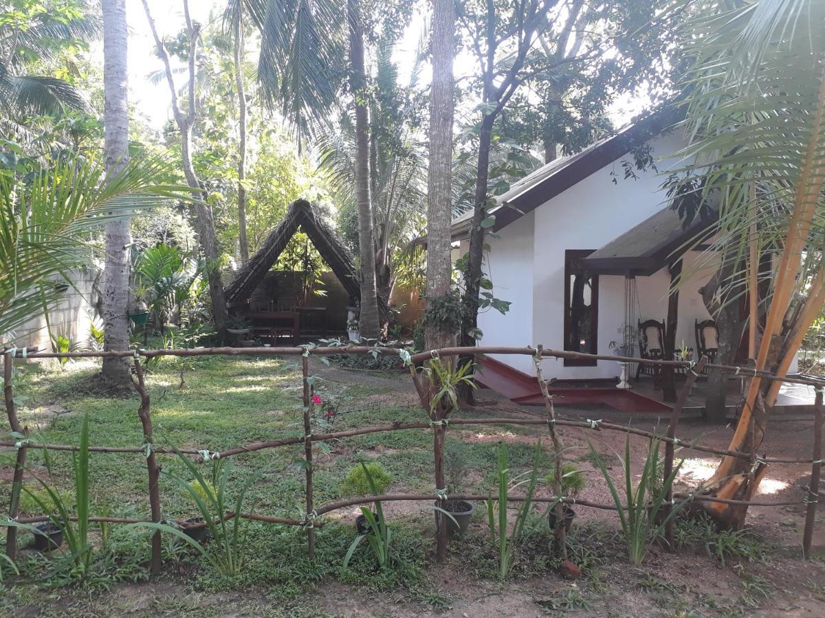 Yaluwa Tourist Rest & Cooking Class Anuradhapura Εξωτερικό φωτογραφία