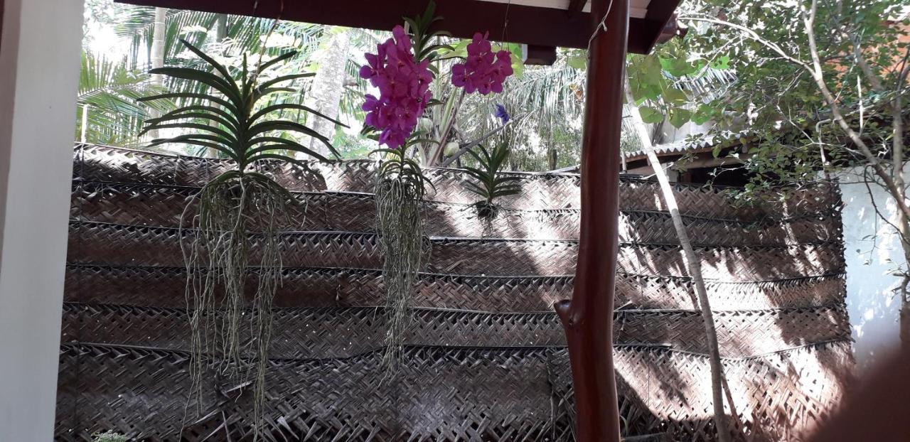Yaluwa Tourist Rest & Cooking Class Anuradhapura Εξωτερικό φωτογραφία