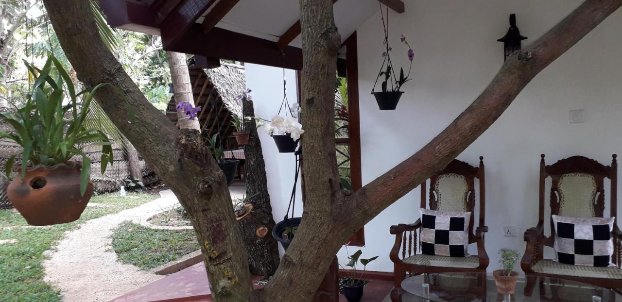 Yaluwa Tourist Rest & Cooking Class Anuradhapura Εξωτερικό φωτογραφία