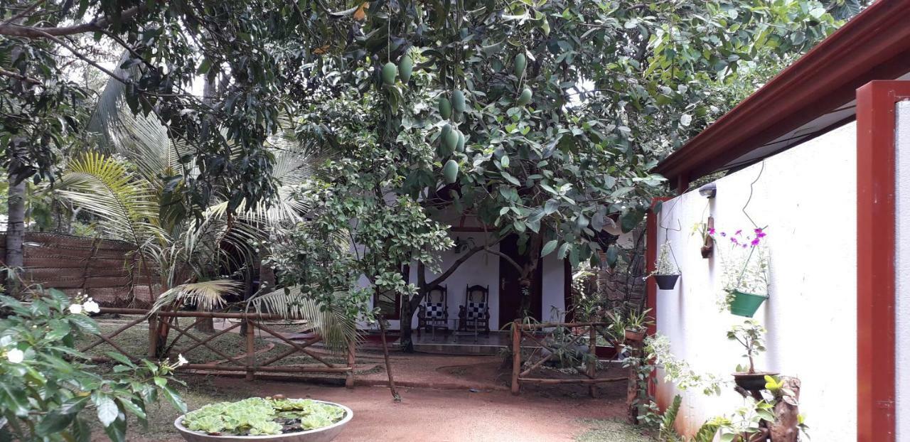 Yaluwa Tourist Rest & Cooking Class Anuradhapura Εξωτερικό φωτογραφία
